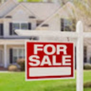 Meet your Posher, Noah